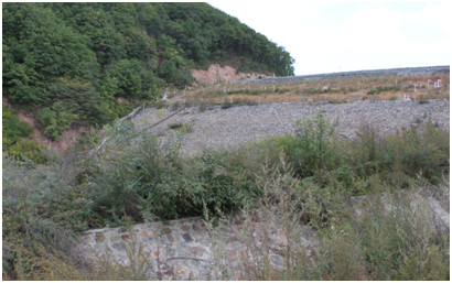 自動化監測 自動化監測